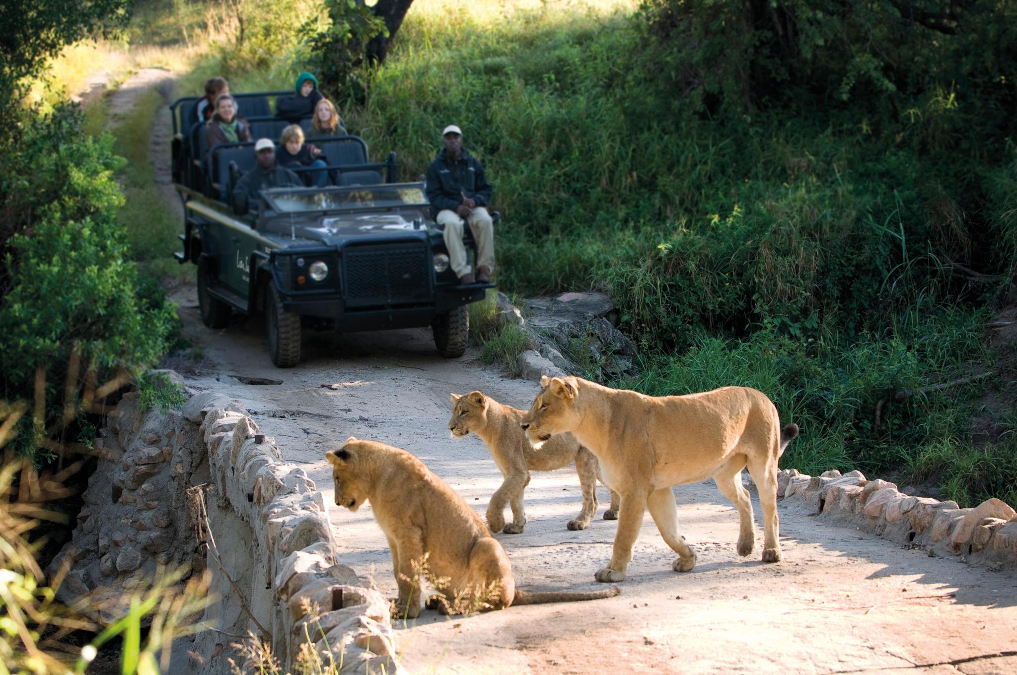 Lion Sands Narina Lodge Sabi Sand Game Reserve Buitenkant foto