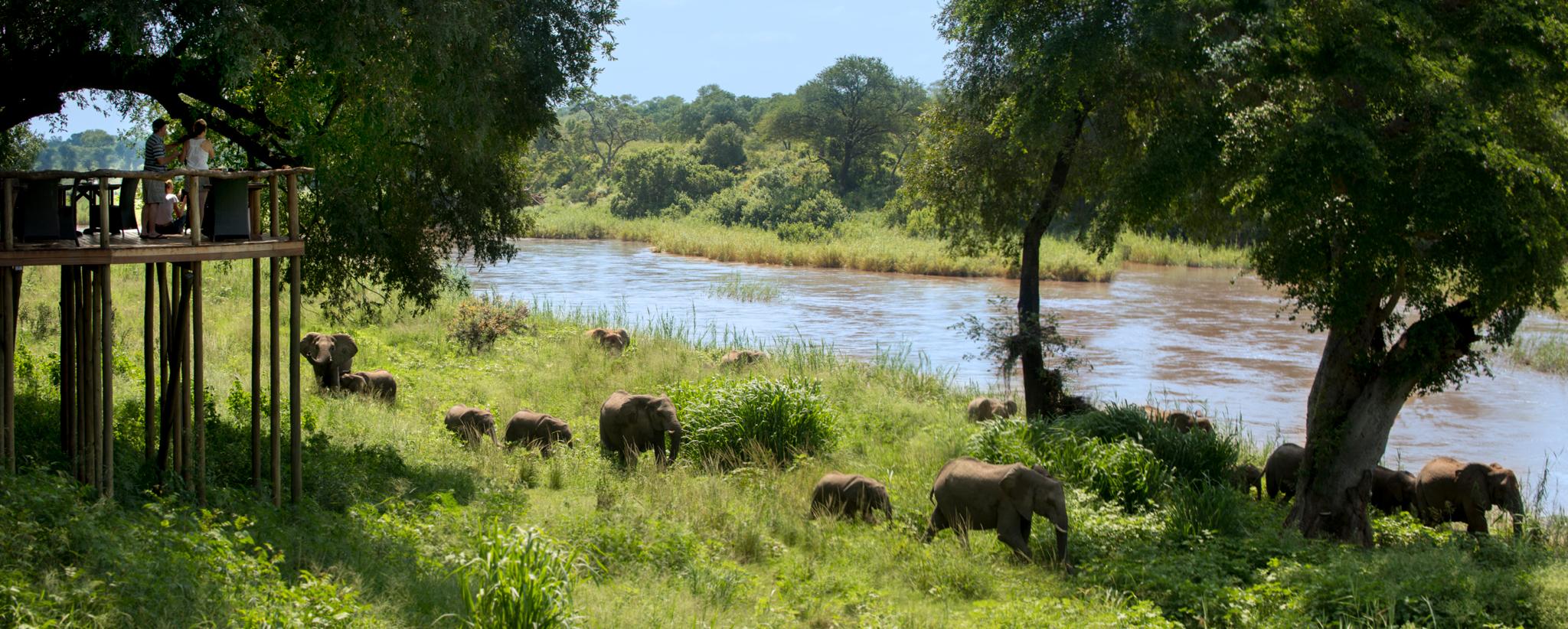 Lion Sands Narina Lodge Sabi Sand Game Reserve Buitenkant foto