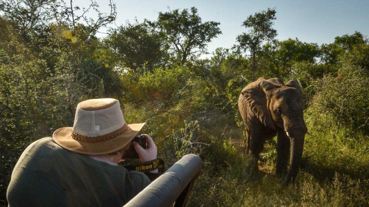 Lion Sands Narina Lodge Sabi Sand Game Reserve Buitenkant foto